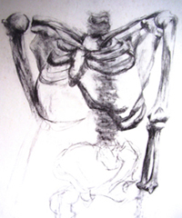 Upper Body