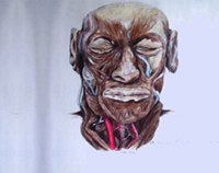 Muscles of Face