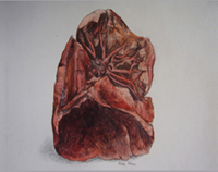 Lung